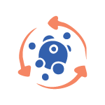 metabolic dysfunction